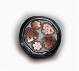 交聯(lián)聚乙烯絕緣聚氯乙烯護(hù)套電力電纜